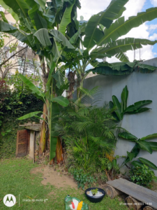 Linda casa com piscina e casa de caseiro em Corrêas
