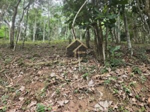 Terreno no Vale das Videiras 2.000m²