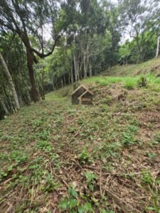 Terreno no Vale das Videiras 2.000m²