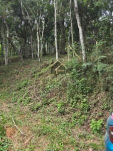 Terreno no Vale das Videiras 2.000m²