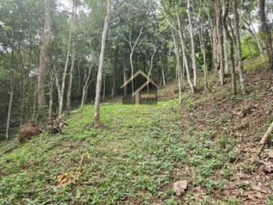 Terreno no Vale das Videiras 2.000m²