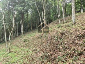 Terreno no Vale das Videiras 2.000m²