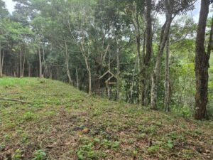 Terreno no Vale das Videiras 2.000m²