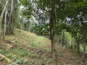 Terreno no Vale das Videiras 2.000m²