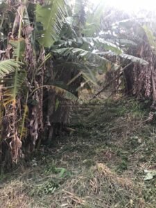 Excelente terreno em leve declive no bairro Quitandinha, Petrópolis RJ