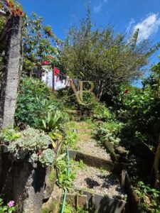 Duas Casas à Venda no Quitandinha – Petrópolis/RJ